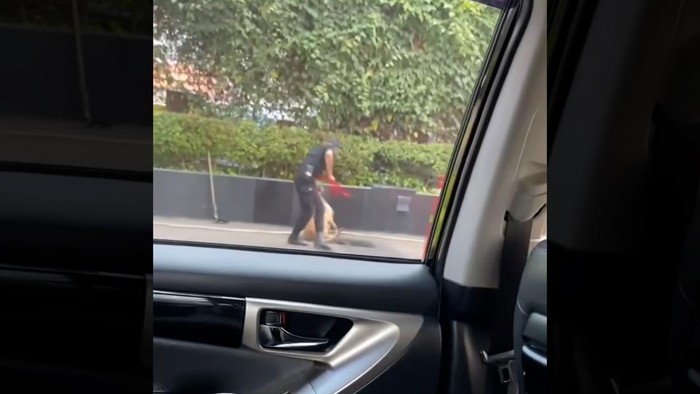 Plaza Indonesia Konfirmasi Terkait Video Viral Aniaya Anjing
