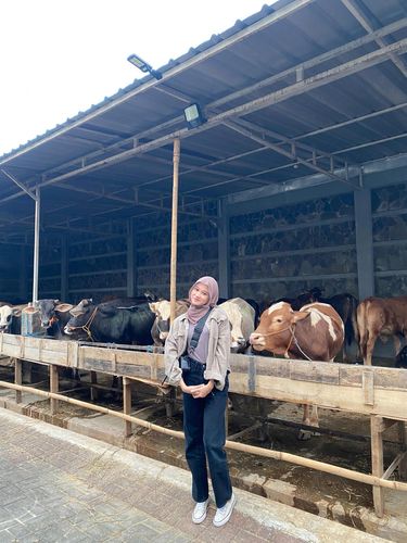 Kisah Viral Gadis Yang Belajar di Jepang Tapi Usaha Sapi