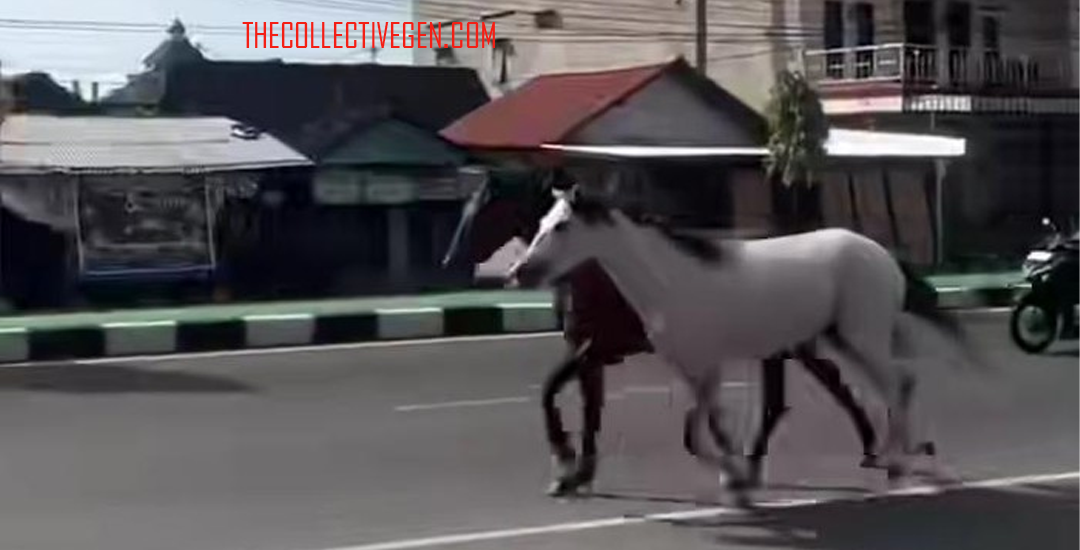 Viral Kuda Lari Santuy di Jalanan Solo-Jogja: Fenomena Unik