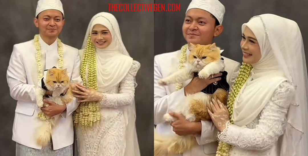 Viral Pengantin